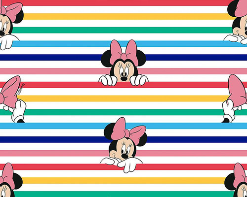 Strisce arcobaleno disney - strisce,